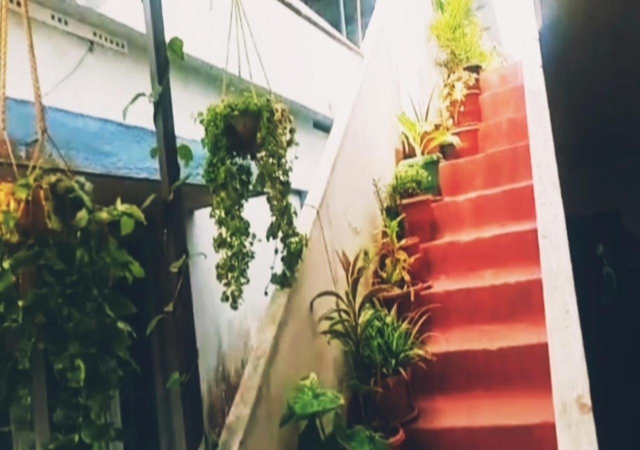 Raelyn'S Homestay Kochi Exteriér fotografie